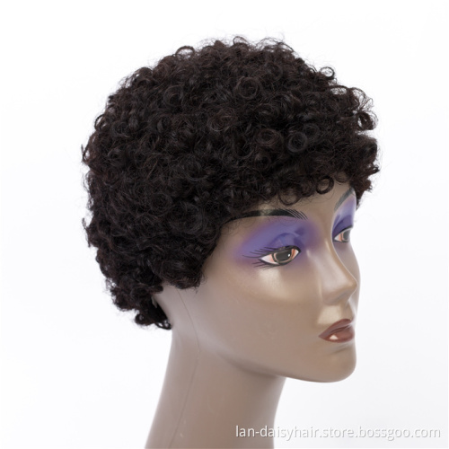 Factory Stock Supply Afro Kinky Curly Wigs For Black Women  100% Human Hair Short Wigs